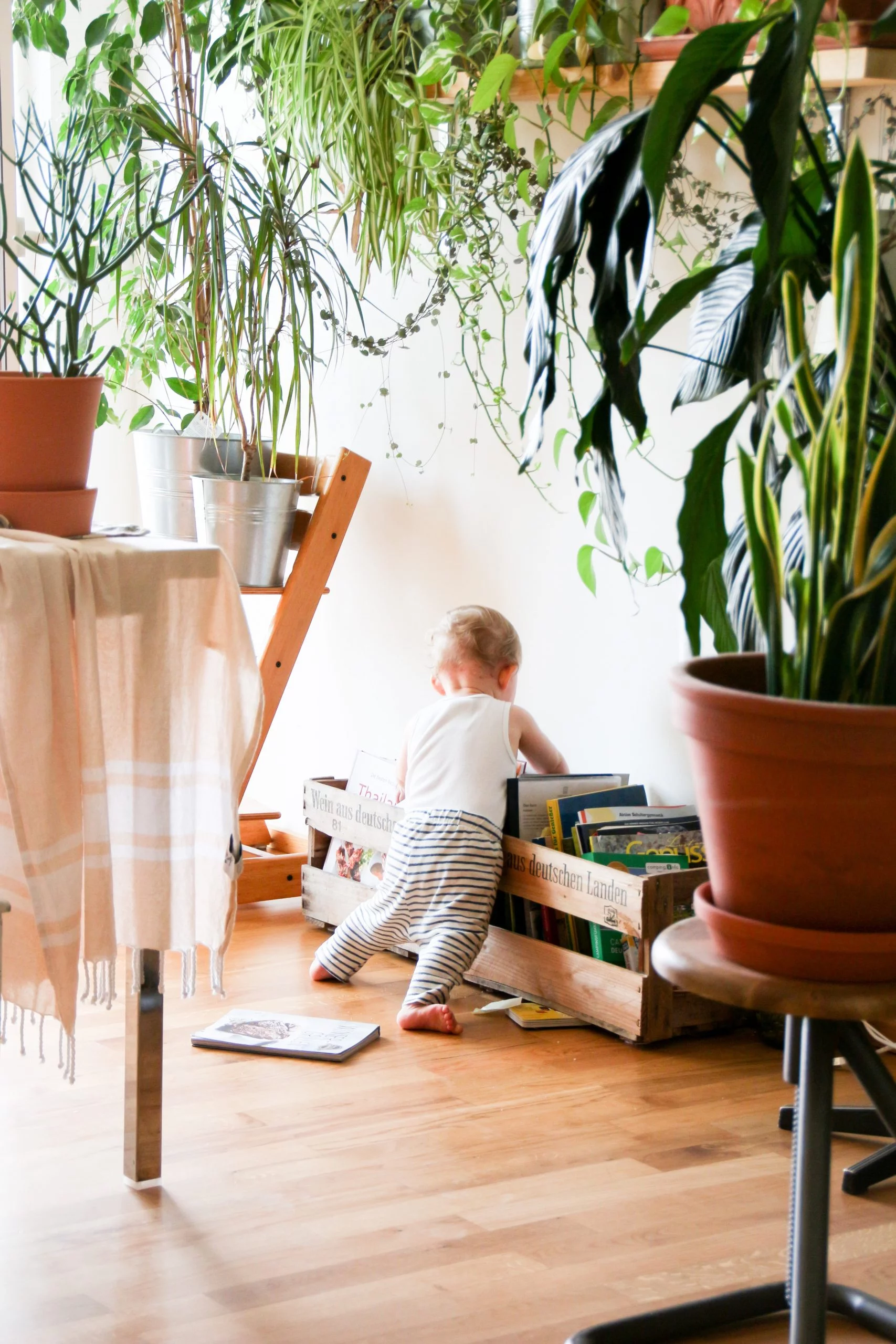 Wallstickers til de små
